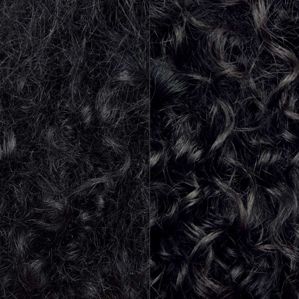 Close-up shot of black curly frizzy hair and smooth, defined curly hair. 
